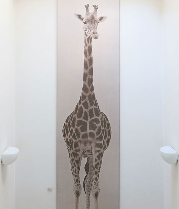 3 legged Giraffe